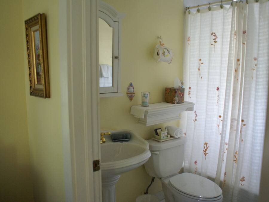 A bathroom with a pedestal sink, a toilet, a mirror, and a shower curtain with floral patterns.