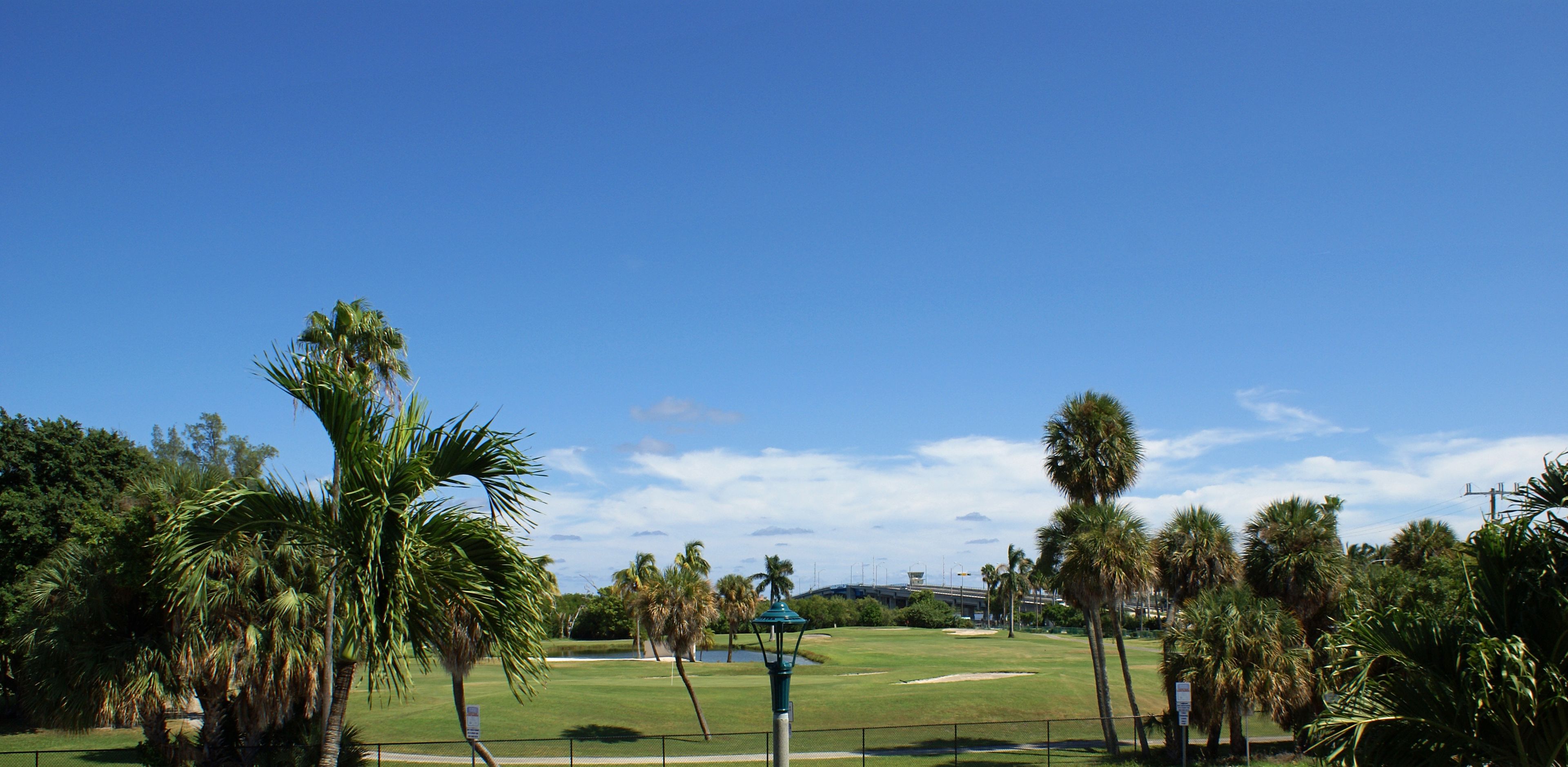 Un campo de golf con palmeras, un césped verde y un cielo azul despejado.