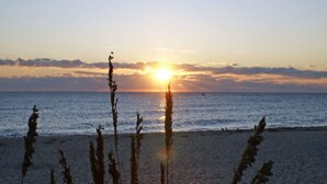 A beach with tall grasses in the foreground and a sunset over the ocean. - Sabal Palm House Bed & Breakfast (Lake Worth)