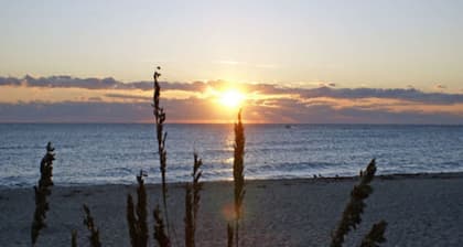 Sabal Palm House Bed & Breakfast