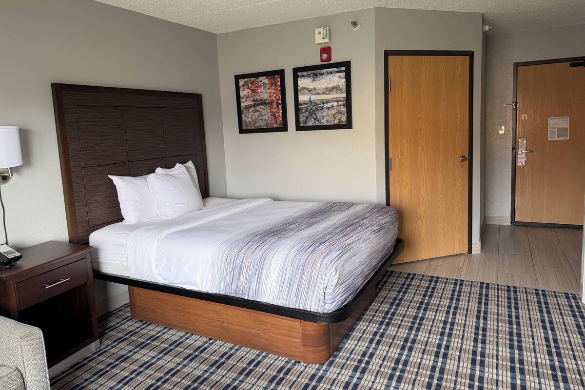 A hotel room with a bed, a nightstand, a lamp, a checkered rug, and two framed pictures on the wall.