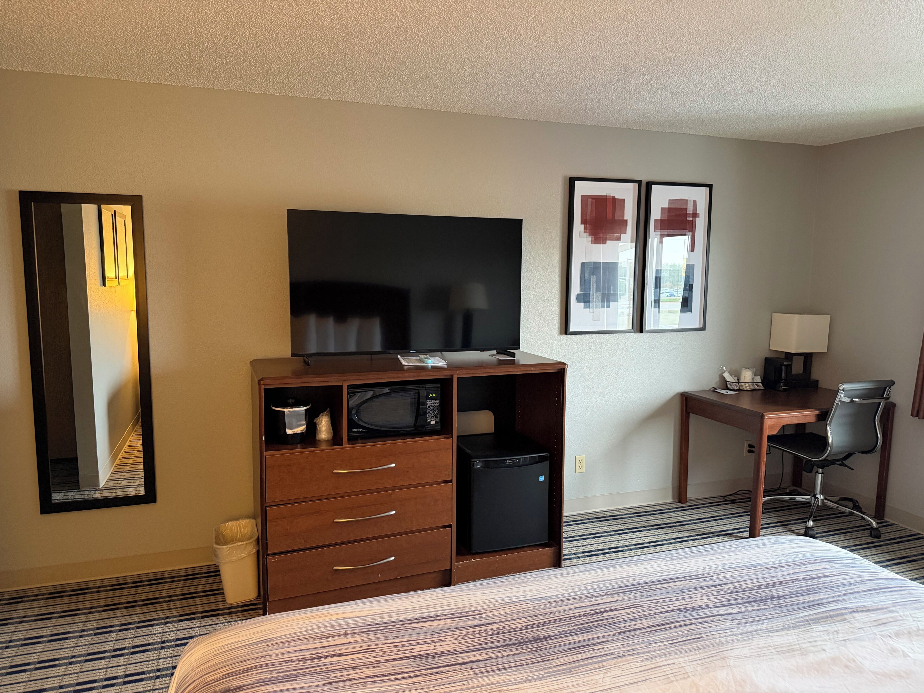 A hotel room with a bed, a TV, a desk with a chair, a microwave, and a trash bin.