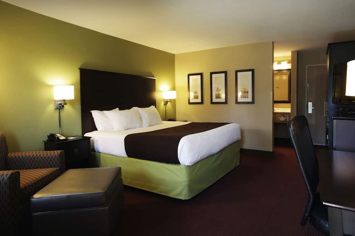 A hotel room with a bed, a desk, a chair, a nightstand, and a lamp.