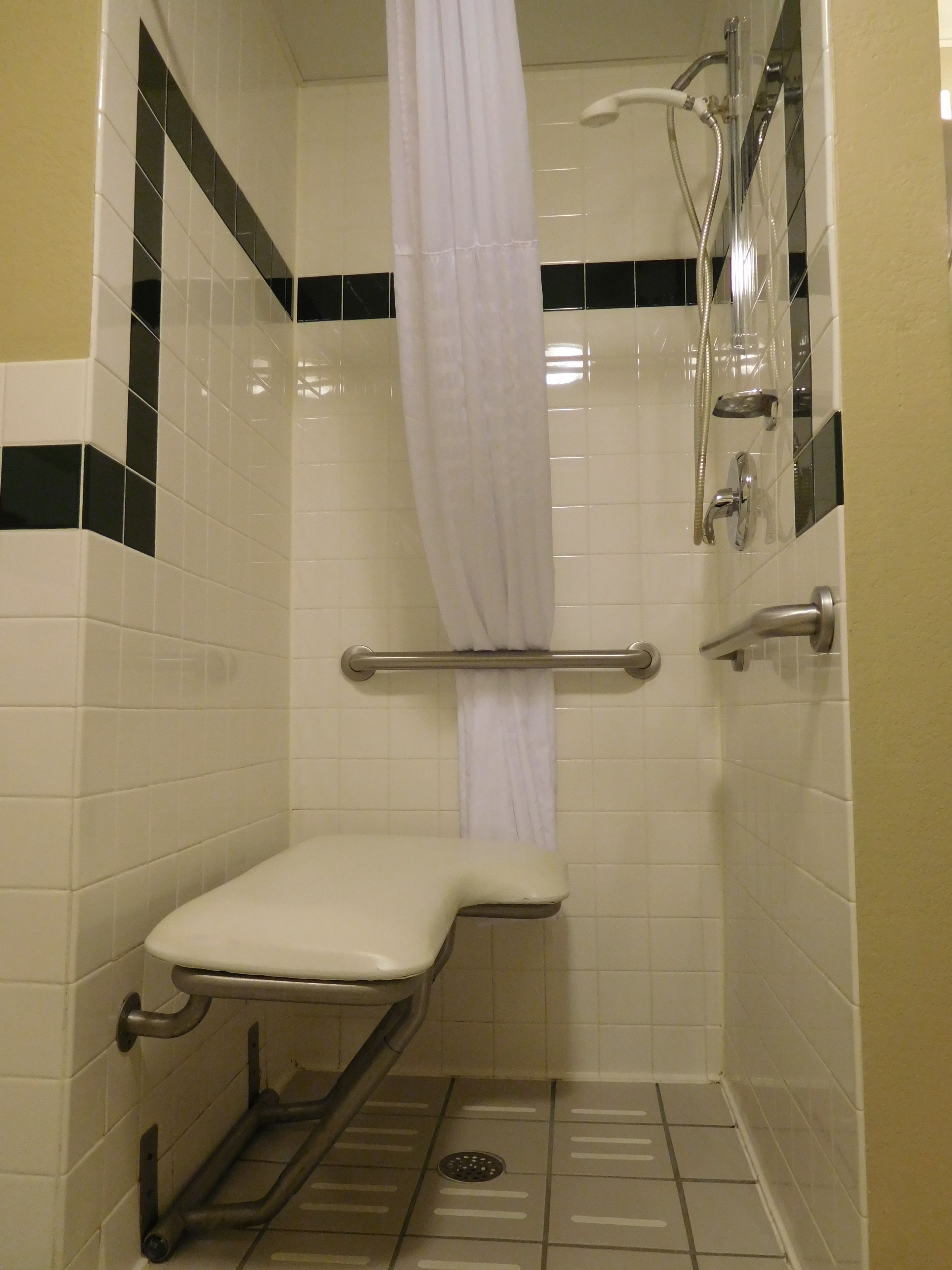 room, 1 king bed, accessible, non smoking | bathroom shower