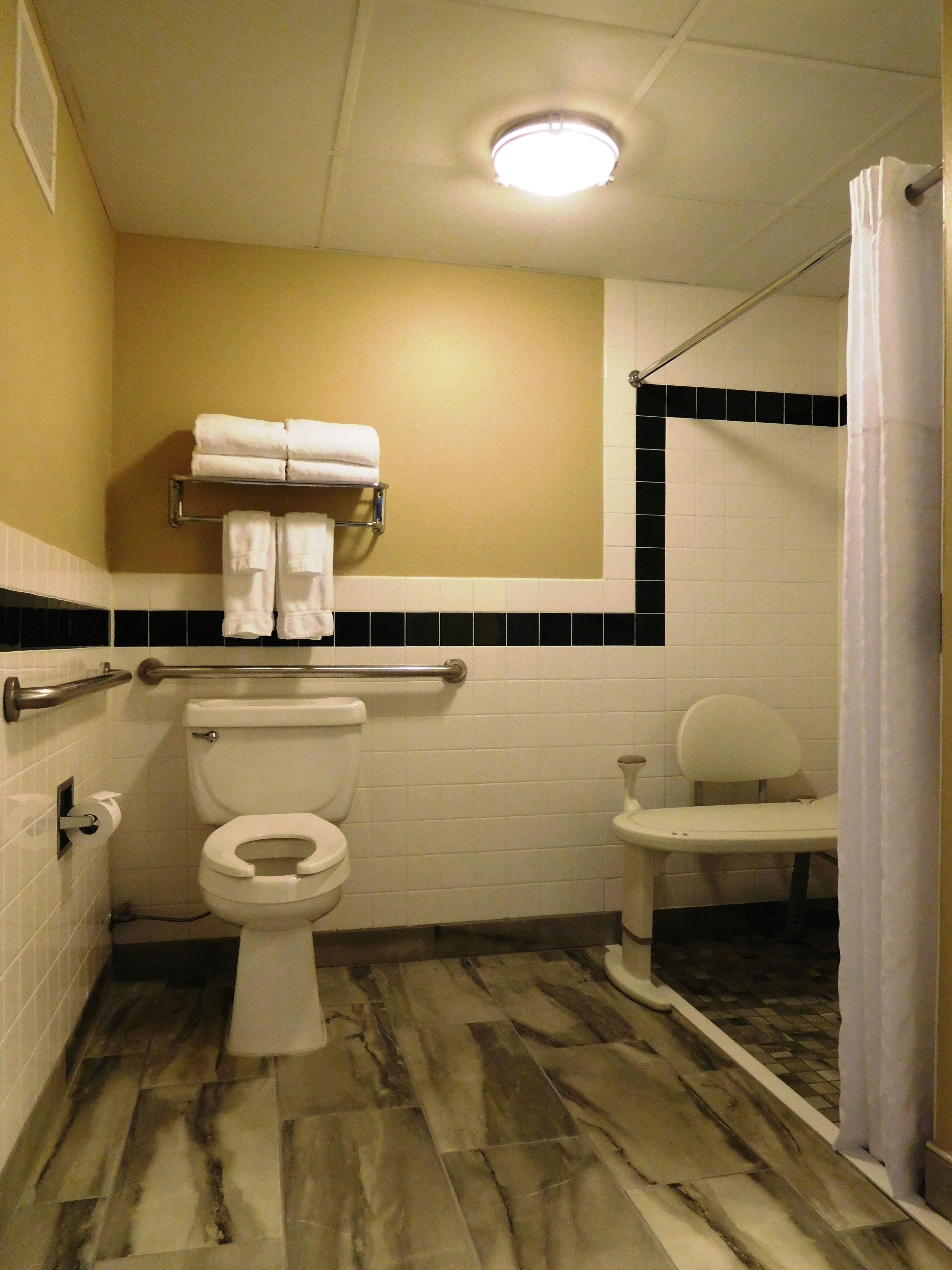 deluxe room, 1 king bed, accessible, non smoking | bathroom | free toiletries, hair dryer, towels