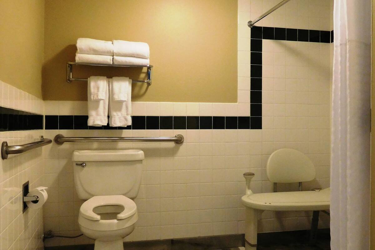 deluxe room, 1 king bed, accessible, non smoking | bathroom | free toiletries, hair dryer, towels