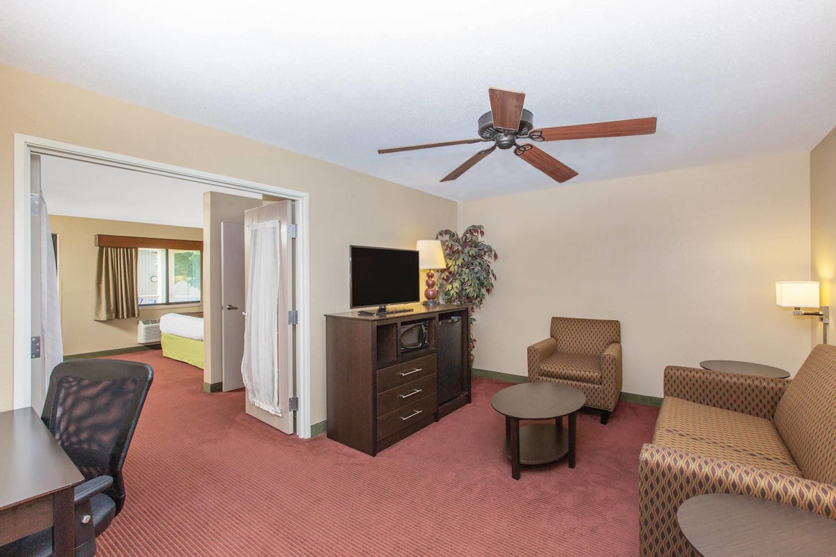 A hotel room with a bed, a desk, a chair, a sofa, a television, a cabinet, a ceiling fan, and a window with curtains.
