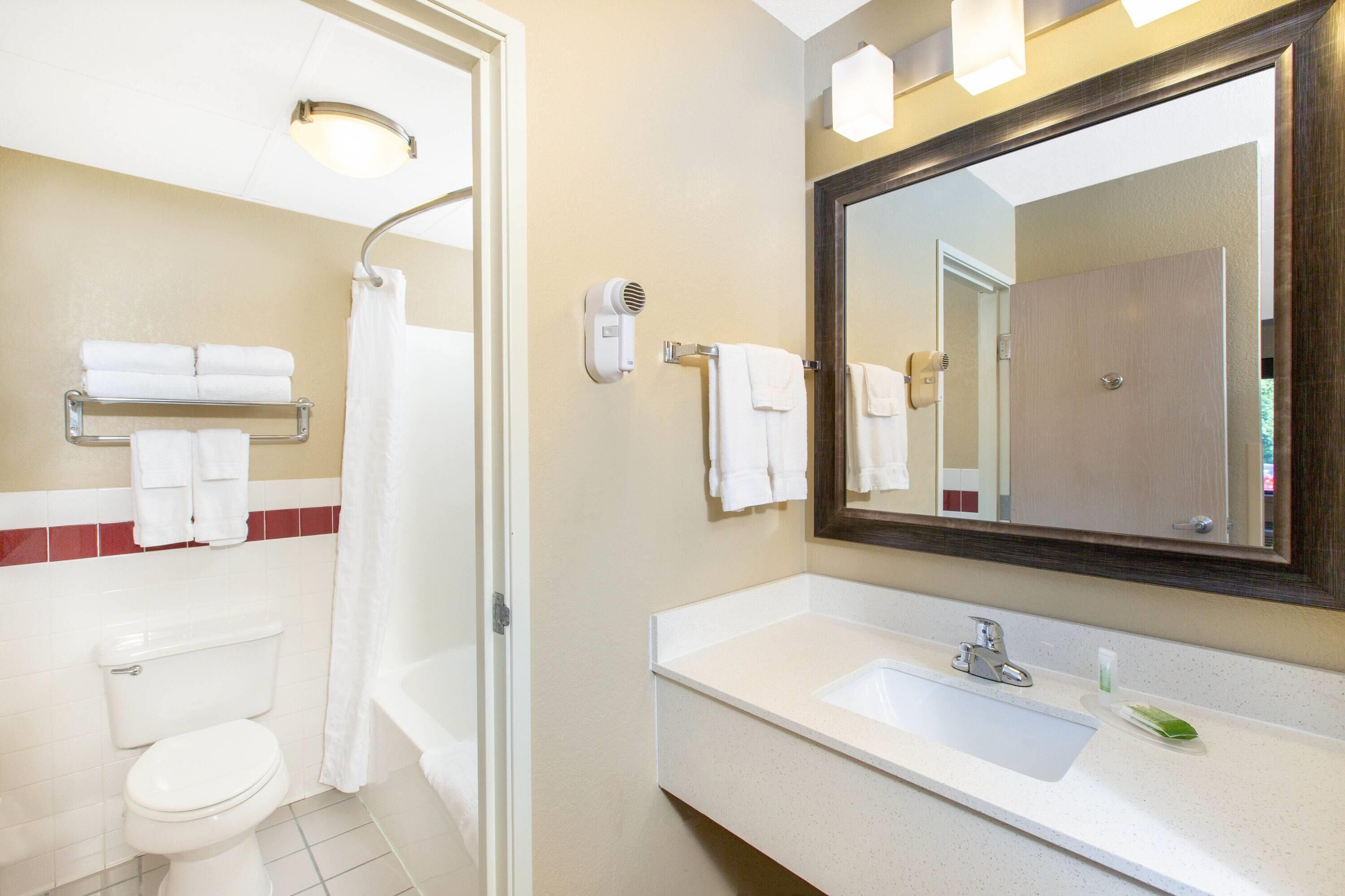 A bathroom with a toilet, a shower, a sink, and a mirror.