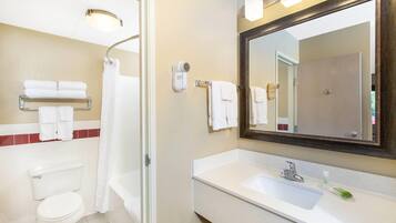 A bathroom with a toilet, a shower, a sink, and a mirror.