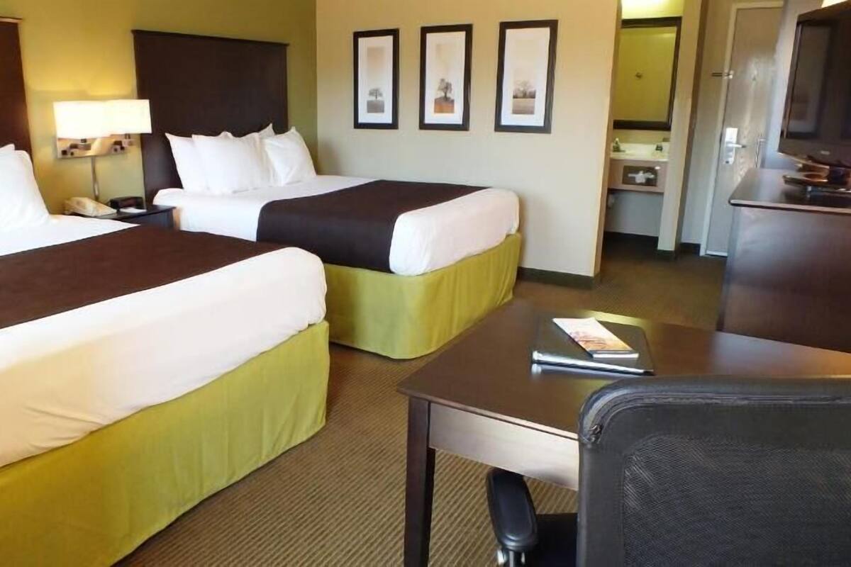 Premium bedding, desk, iron/ironing board, free cribs/infant beds