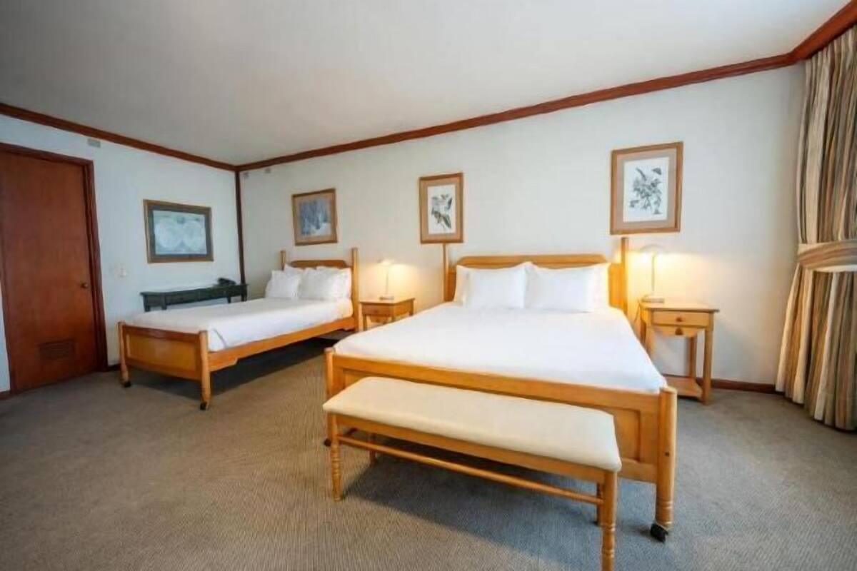 Minibar, in-room safe, desk, free WiFi