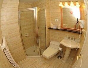 Combined shower/bathtub, free toiletries, hair dryer, towels