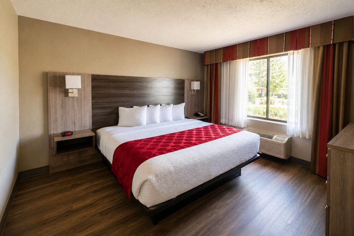 Business Room, 1 King Bed, Non Smoking (One-Bedroom) | Desk, blackout curtains, iron/ironing board, free WiFi