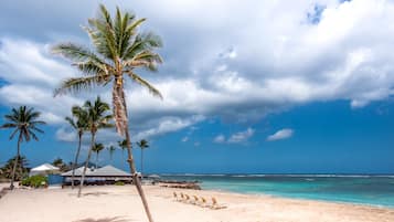 On the beach, sun-loungers, beach umbrellas, beach towels