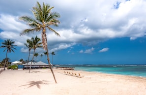 Sur la plage, chaise longue, parasol, serviettes de plage