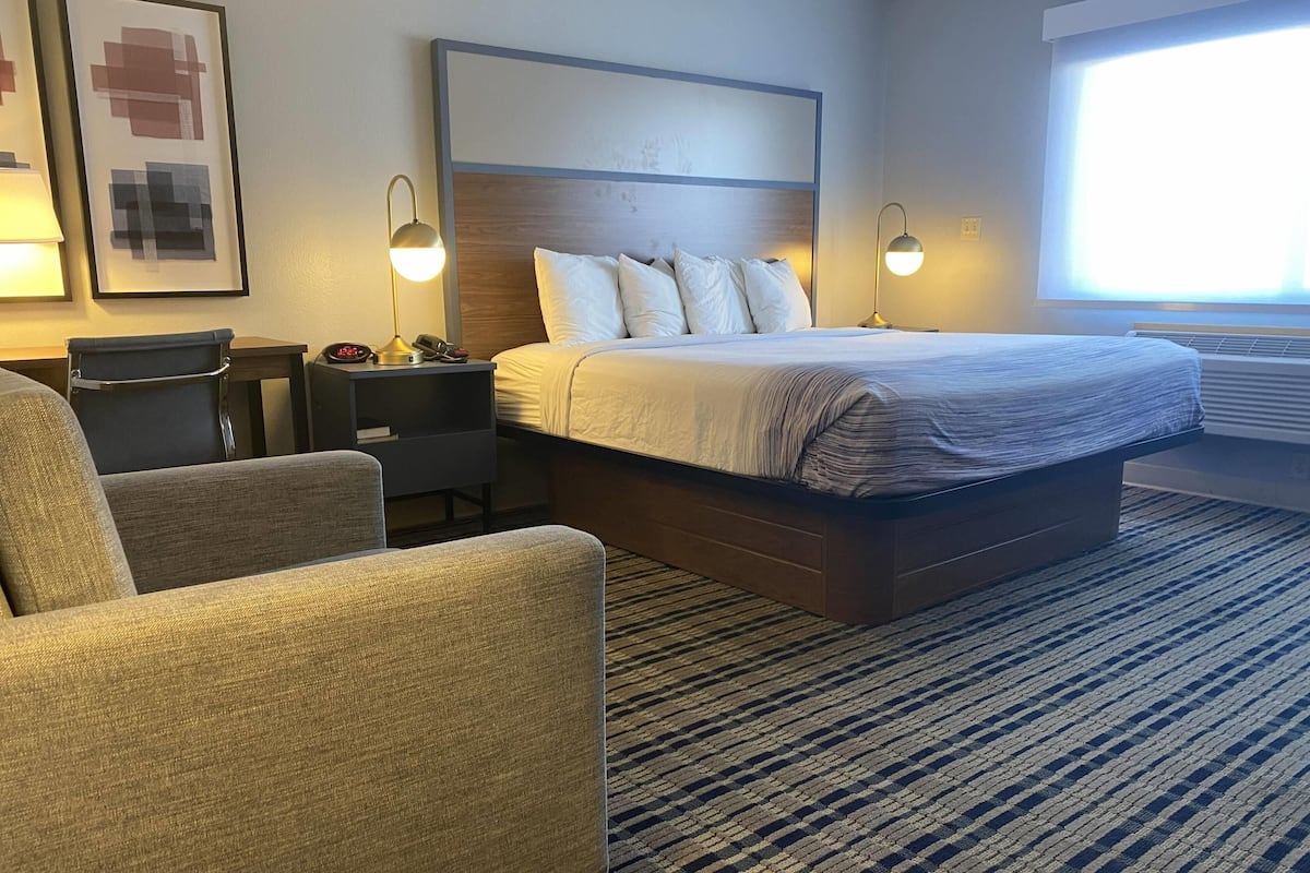 Suite Deluxe, 1 cama King size, para no fumadores (Studio) | Escritorio, cunas gratuitas, camas extra y wifi gratis