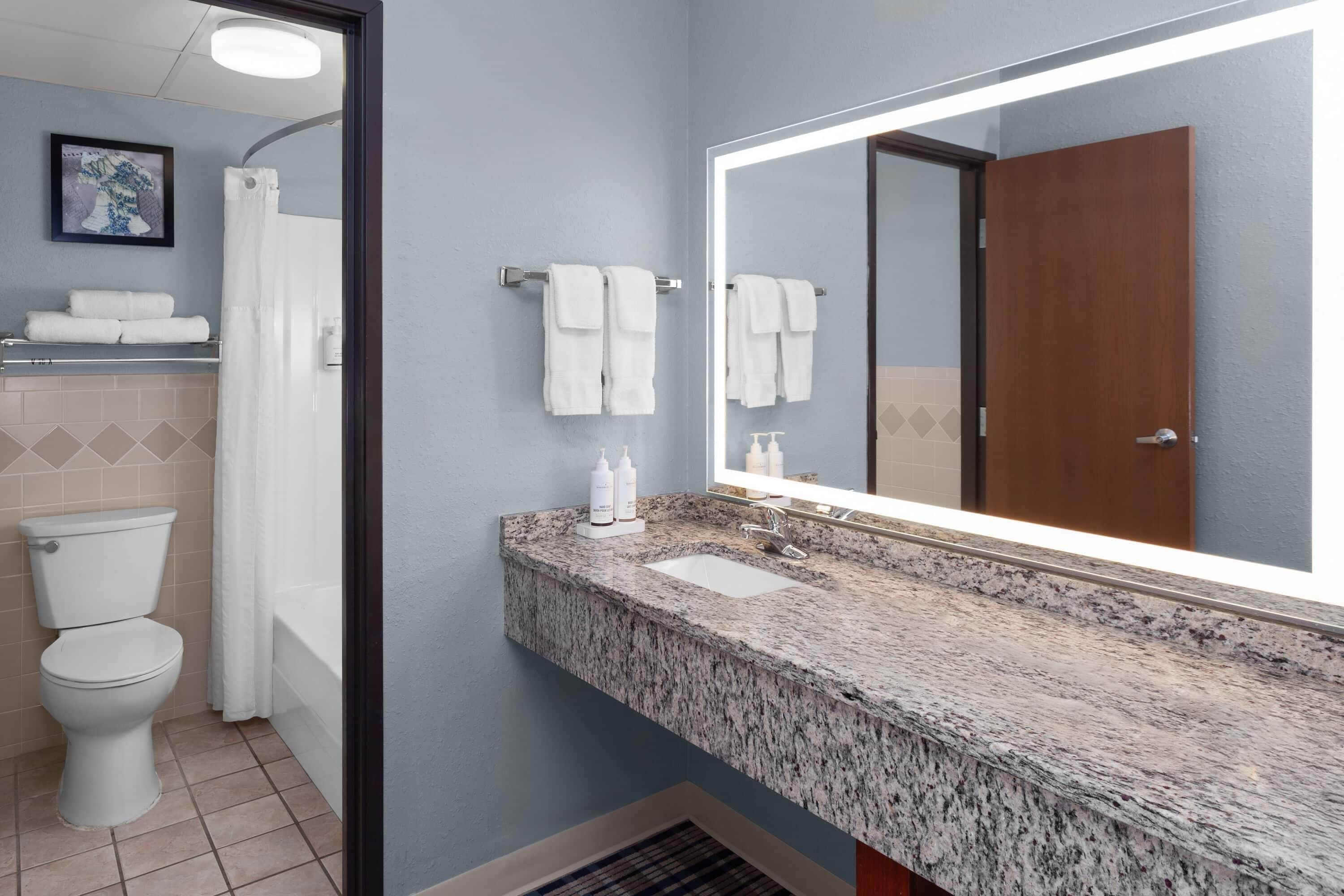 Een badkamer met toilet, wastafel en douche.