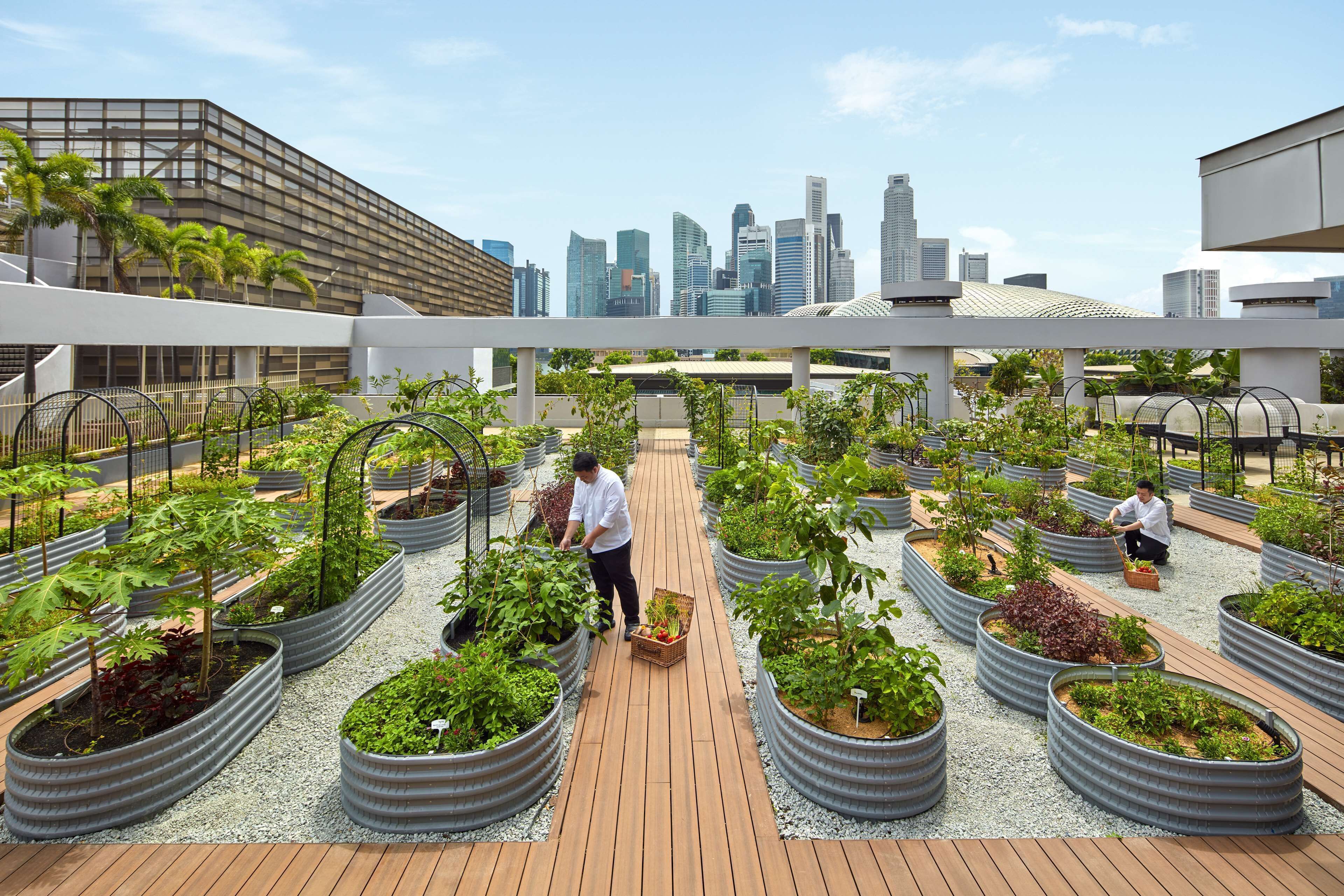 Foto - PARKROYAL COLLECTION Marina Bay, Singapore 