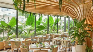 Un comedor interior con mesas y sillas, rodeado de plantas verdes grandes y un techo de madera curvada.
