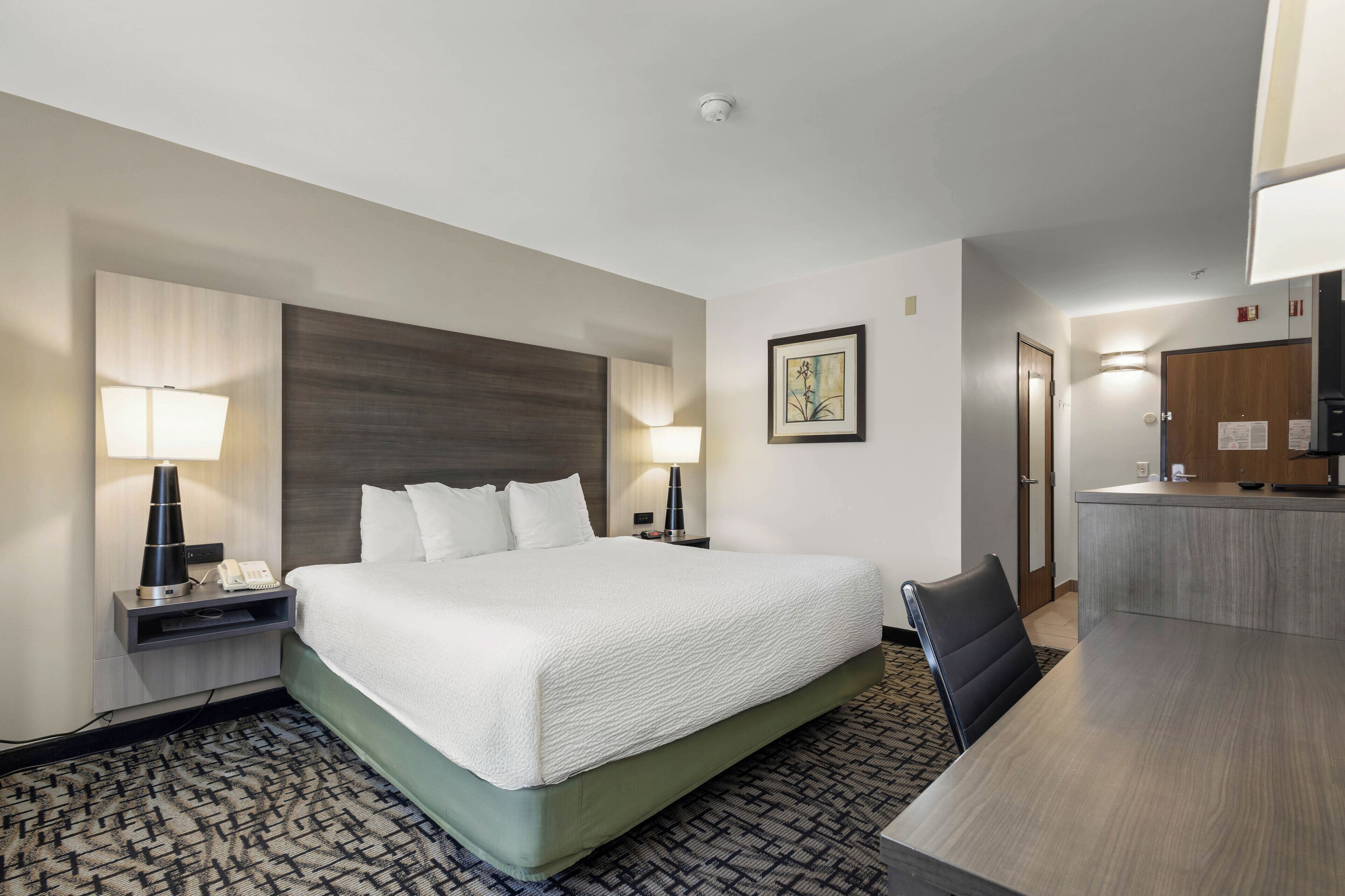 Standard Room, 1 King Bed, Accessible, Non Smoking | Pillow-top beds, desk, iron/ironing board, free WiFi