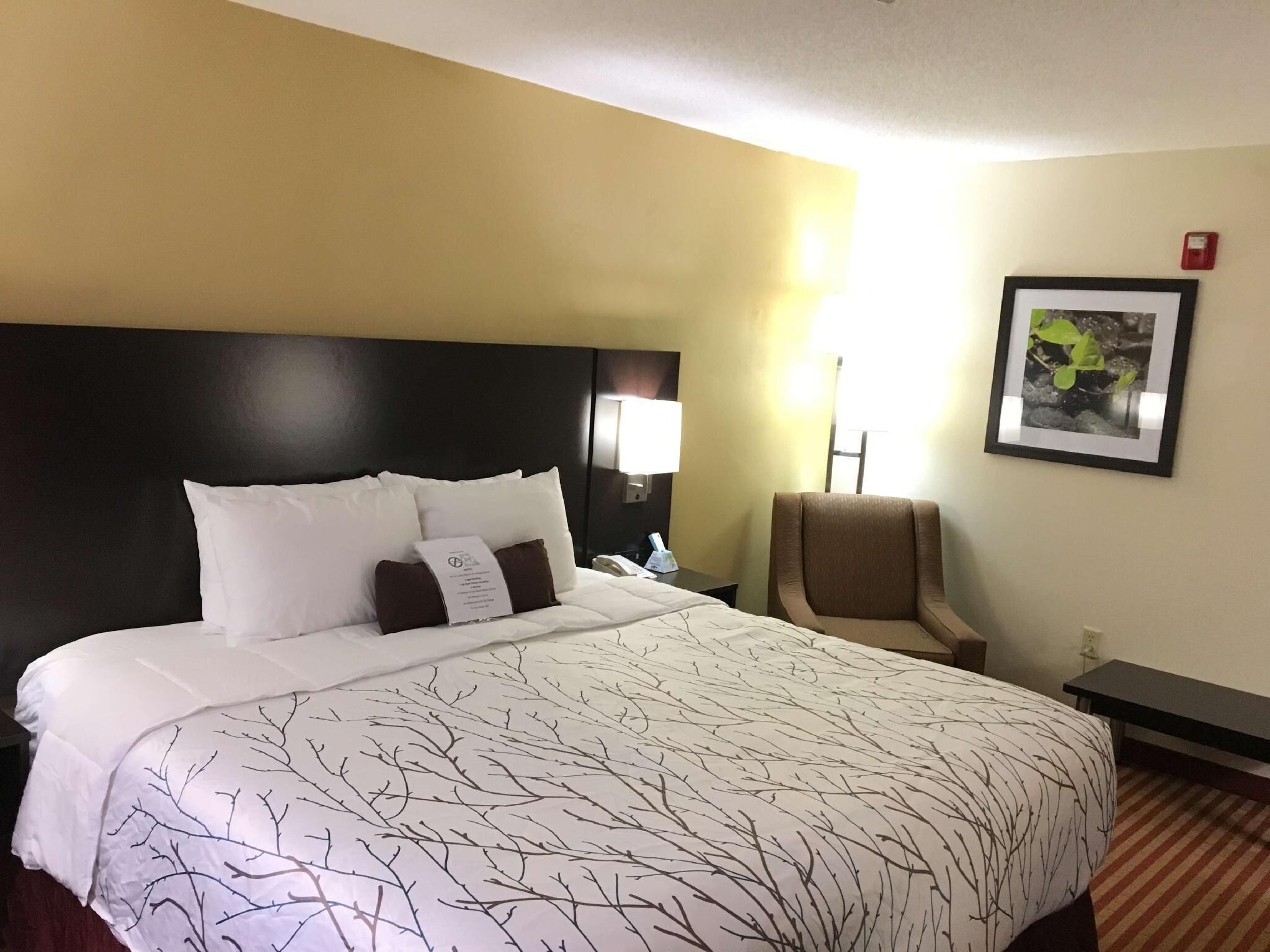 Premium bedding, desk, laptop workspace, iron/ironing board