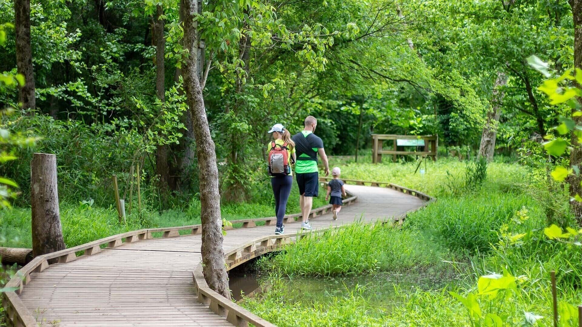 A wooden boardwalk in a forested area with a small pond.