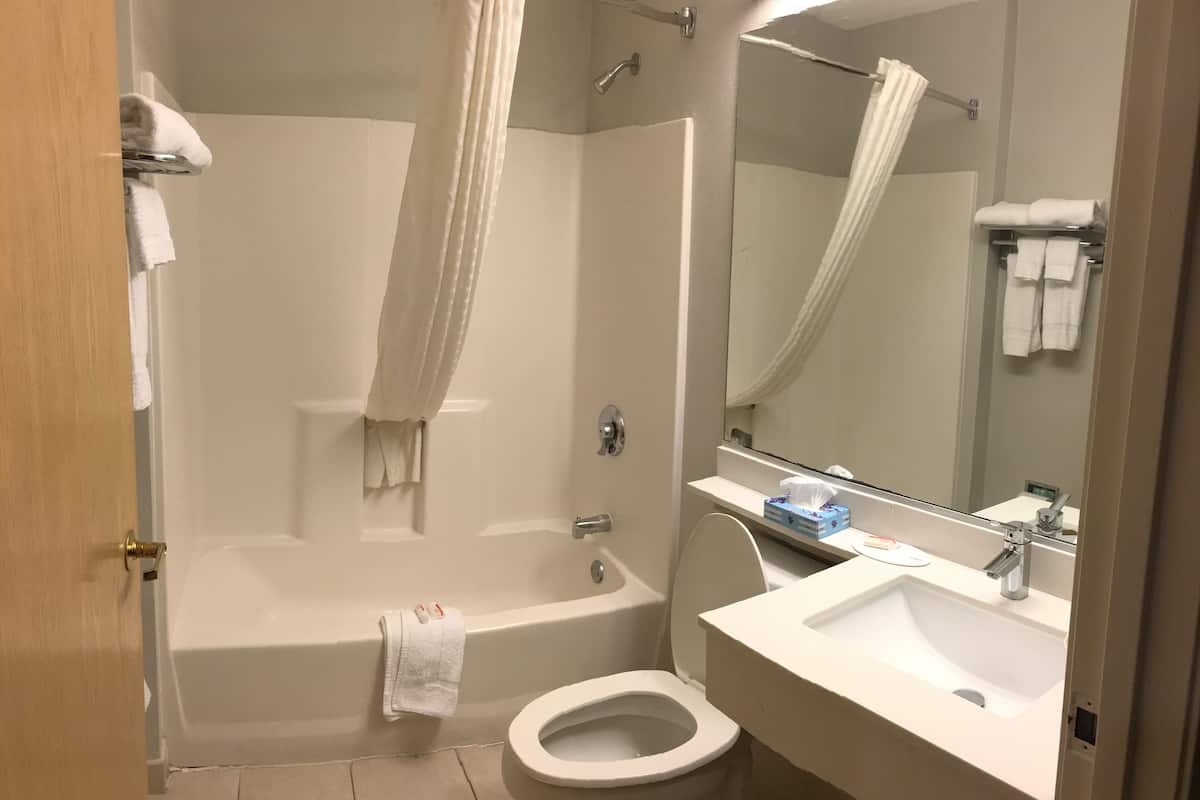 combined shower/bathtub, free toiletries, hair dryer, towels