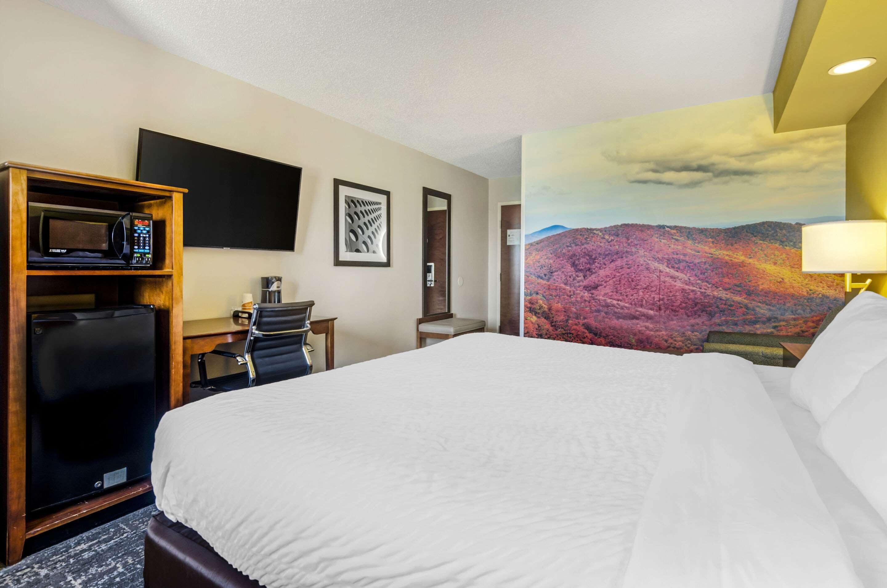 1 bedroom, in-room safe, desk, iron/ironing board