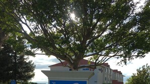 Ein Schild eines Motels mit der Nummer 6, umgeben von einem gepflegten Garten mit verschiedenen Blumen.