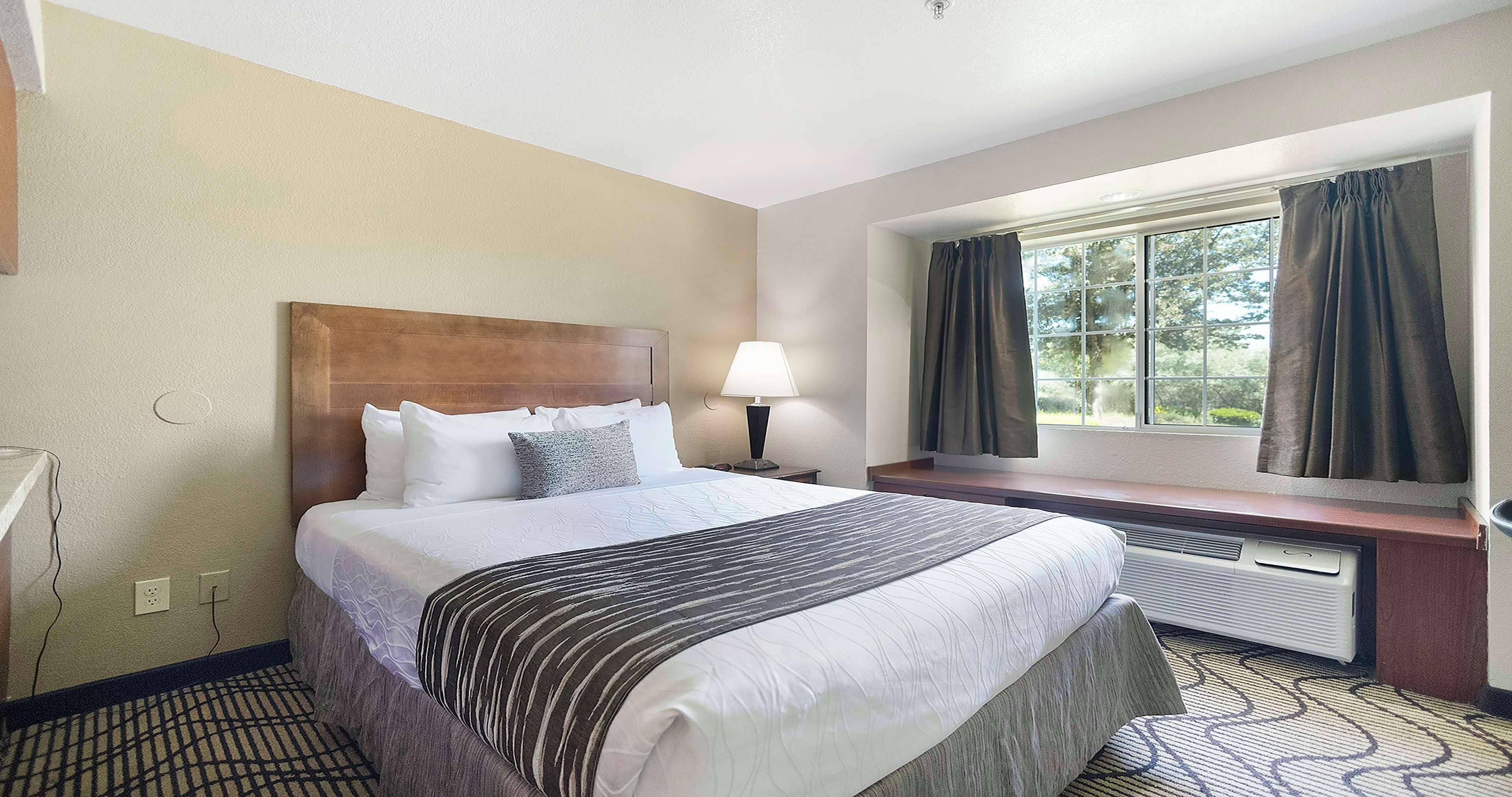 A hotel room with a large bed, a bedside table with a lamp, a window with curtains, and a wall-mounted heater.