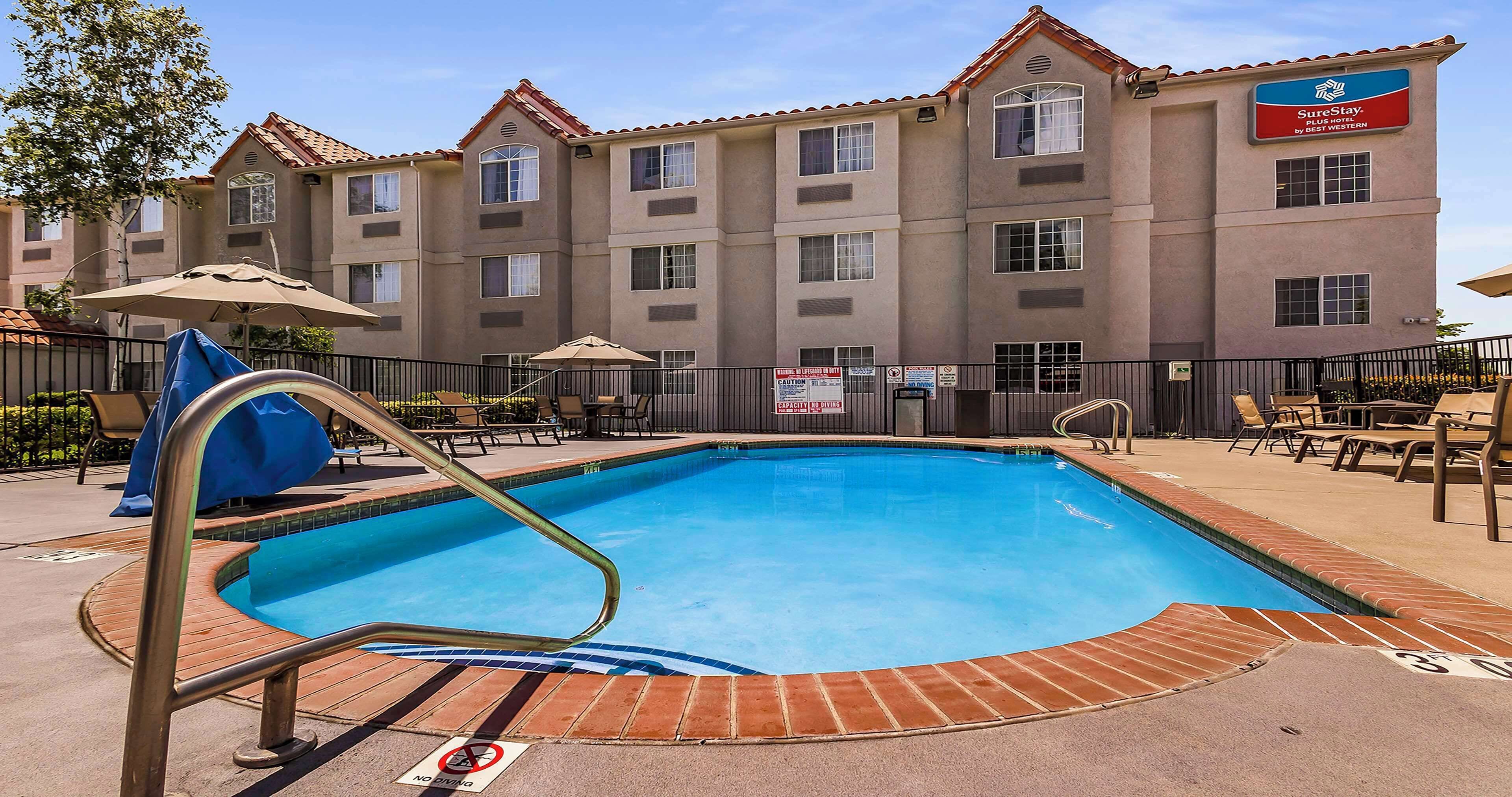 Outdoor pool, pool umbrellas, sun loungers