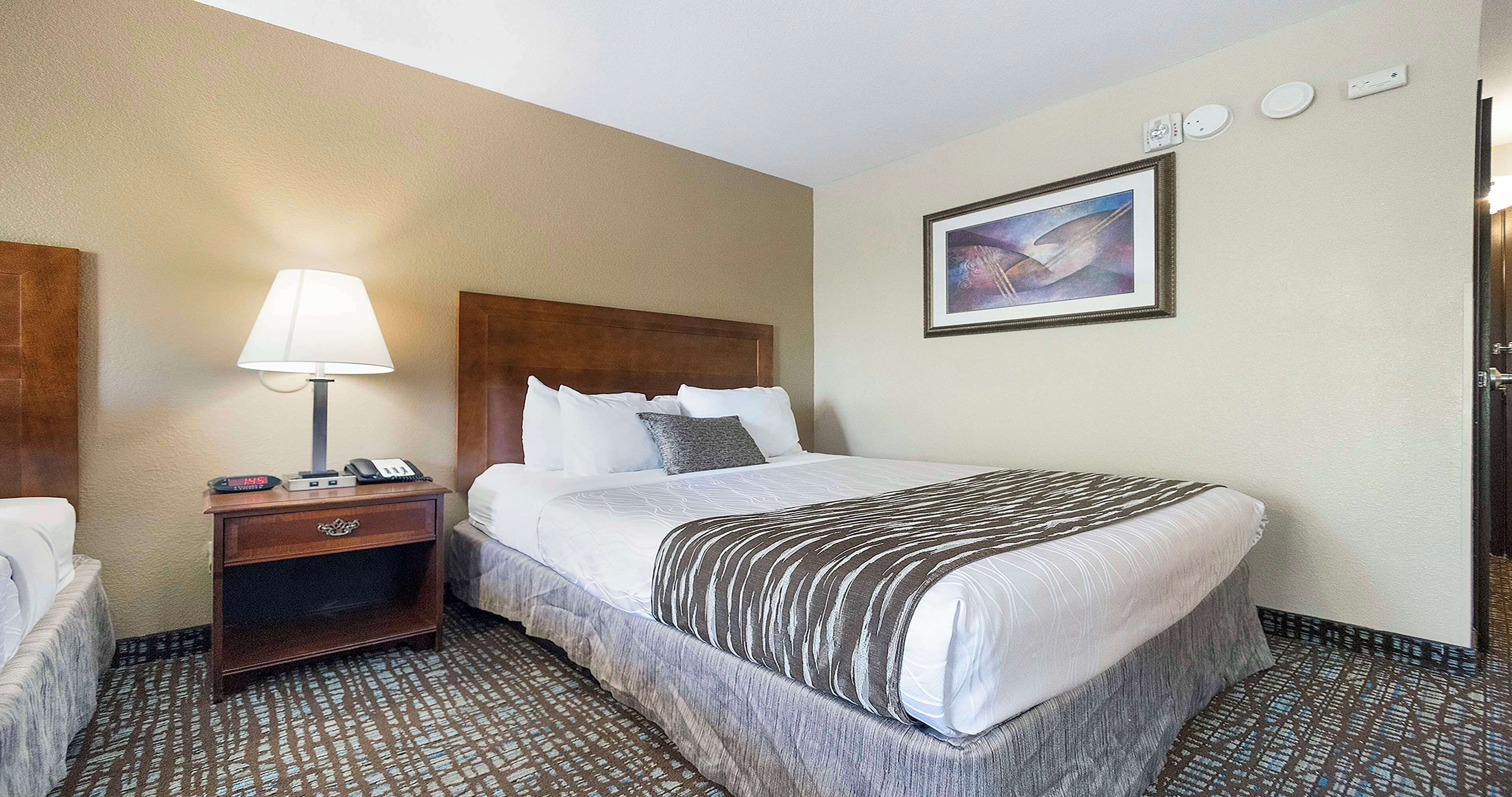 A hotel room with a bed, a nightstand, a lamp, a painting on the wall, and a patterned carpet.