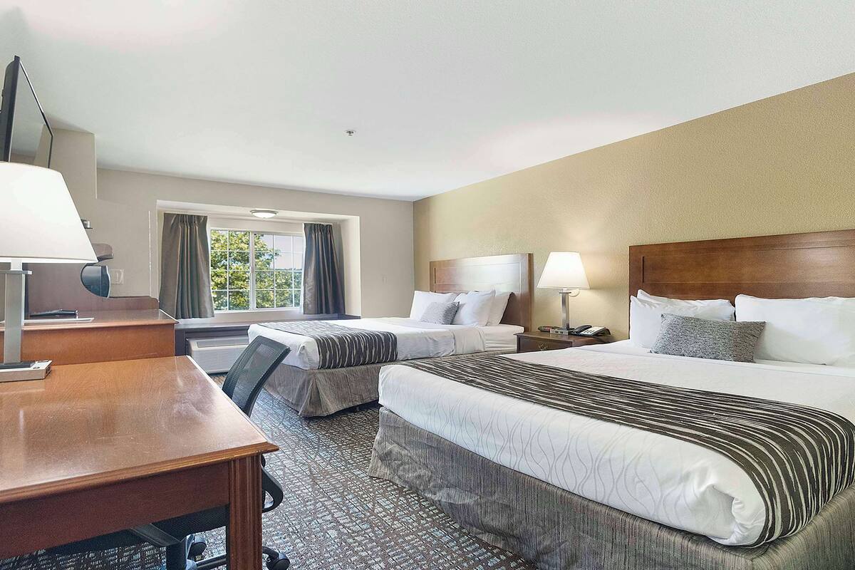 Hotelkamer met twee bedden, een bureau en een stoel. Twee lampen op de nachtkastjes, een raam met gordijnen, en uitzicht op bomen.