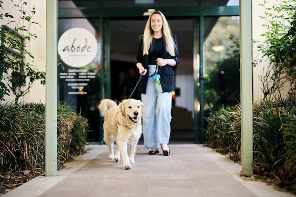 Pet-friendly