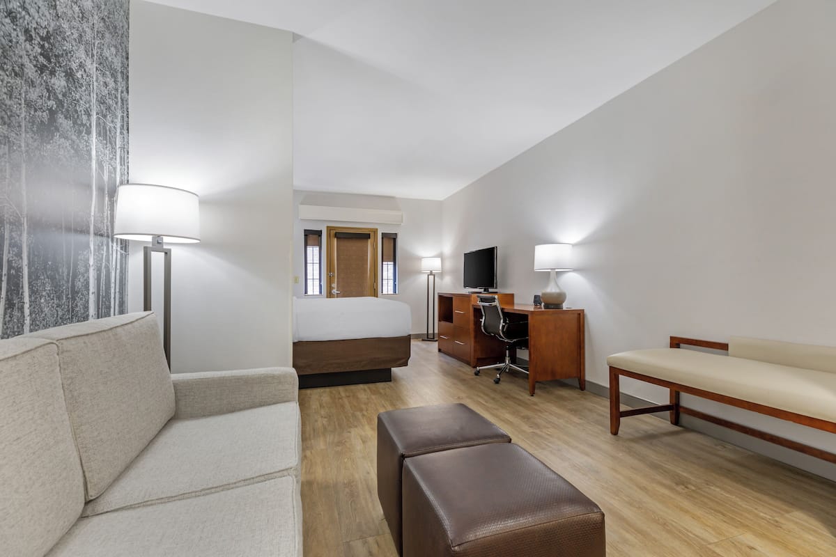 Suite, para no fumadores (Pet Friendly) | 1 habitación, ropa de cama de alta calidad y escritorio