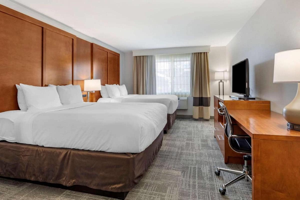 Suite, para no fumadores | 1 habitación, ropa de cama de alta calidad y escritorio