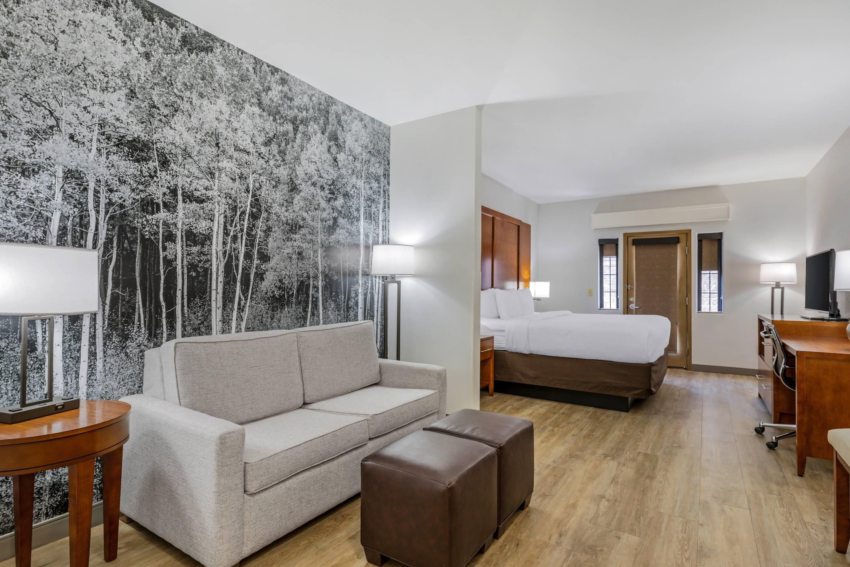 Suite, para no fumadores (Pet Friendly) | 1 habitación, ropa de cama de alta calidad y escritorio 