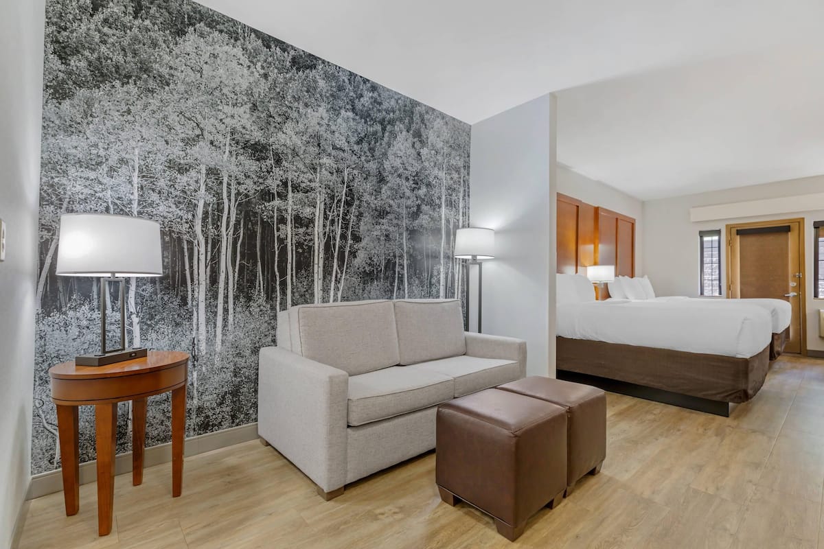 1 chambre, literie de qualité supérieure, bureau
