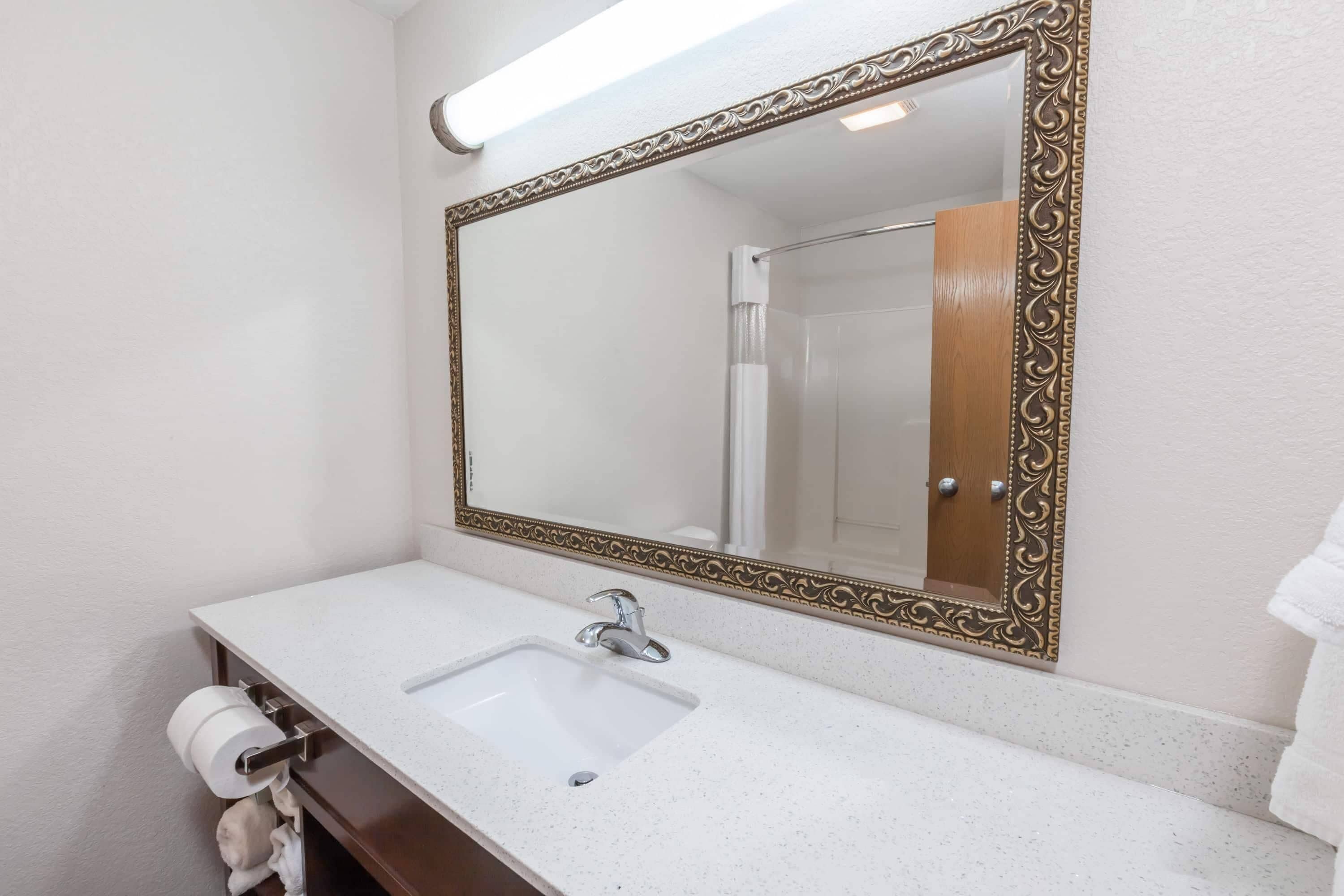Une salle de bain avec un lavabo blanc, un miroir doté d’un cadre orné et une douche visible dans le reflet.