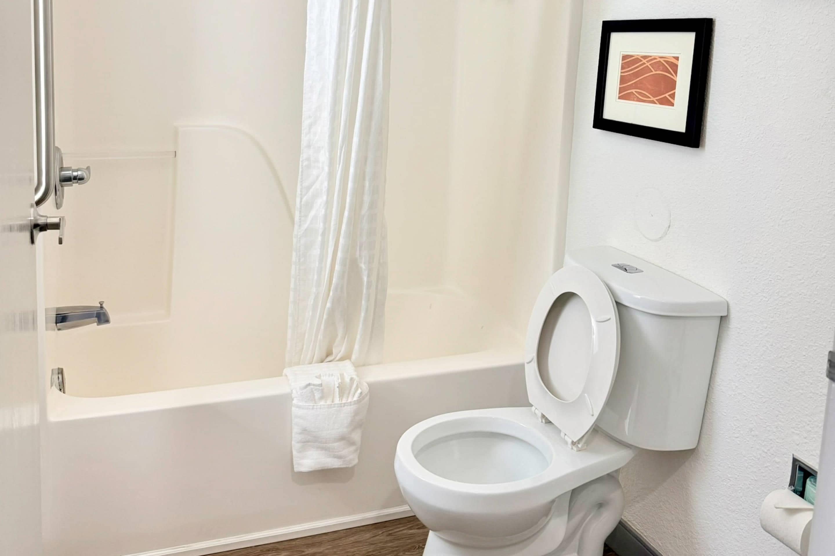 A bathroom with a bathtub, toilet, and a framed picture on the wall.