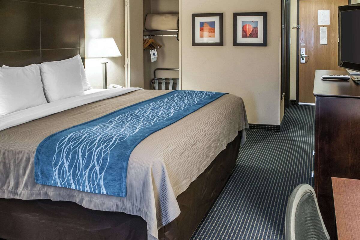 standard room, 1 king bed, non smoking | egyptian cotton sheets, premium bedding, down duvets, pillow-top beds