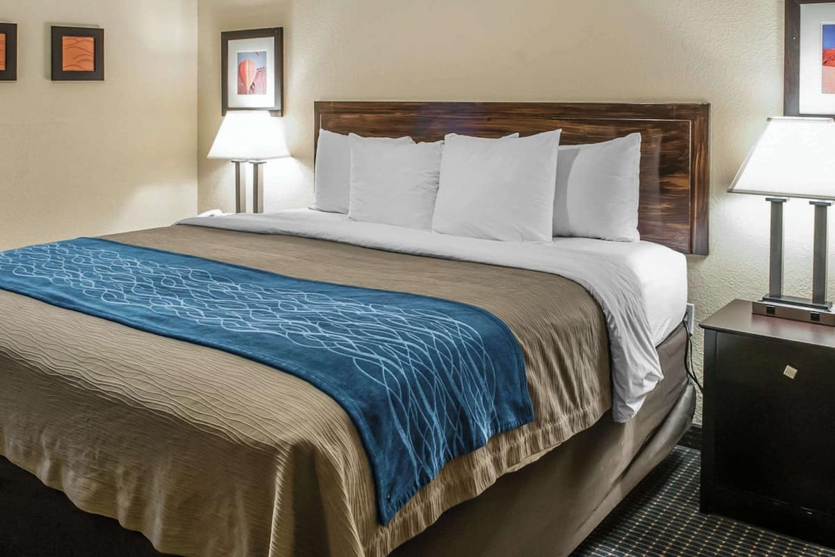 suite 1 king bed, sofa, wet bar, non-smoking | egyptian cotton sheets, premium bedding, down duvets, pillow-top beds