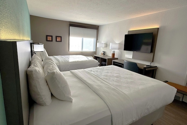 Standard Room, 2 Queen Beds, Non Smoking | Egyptian cotton sheets, premium bedding, down comforters, pillowtop beds