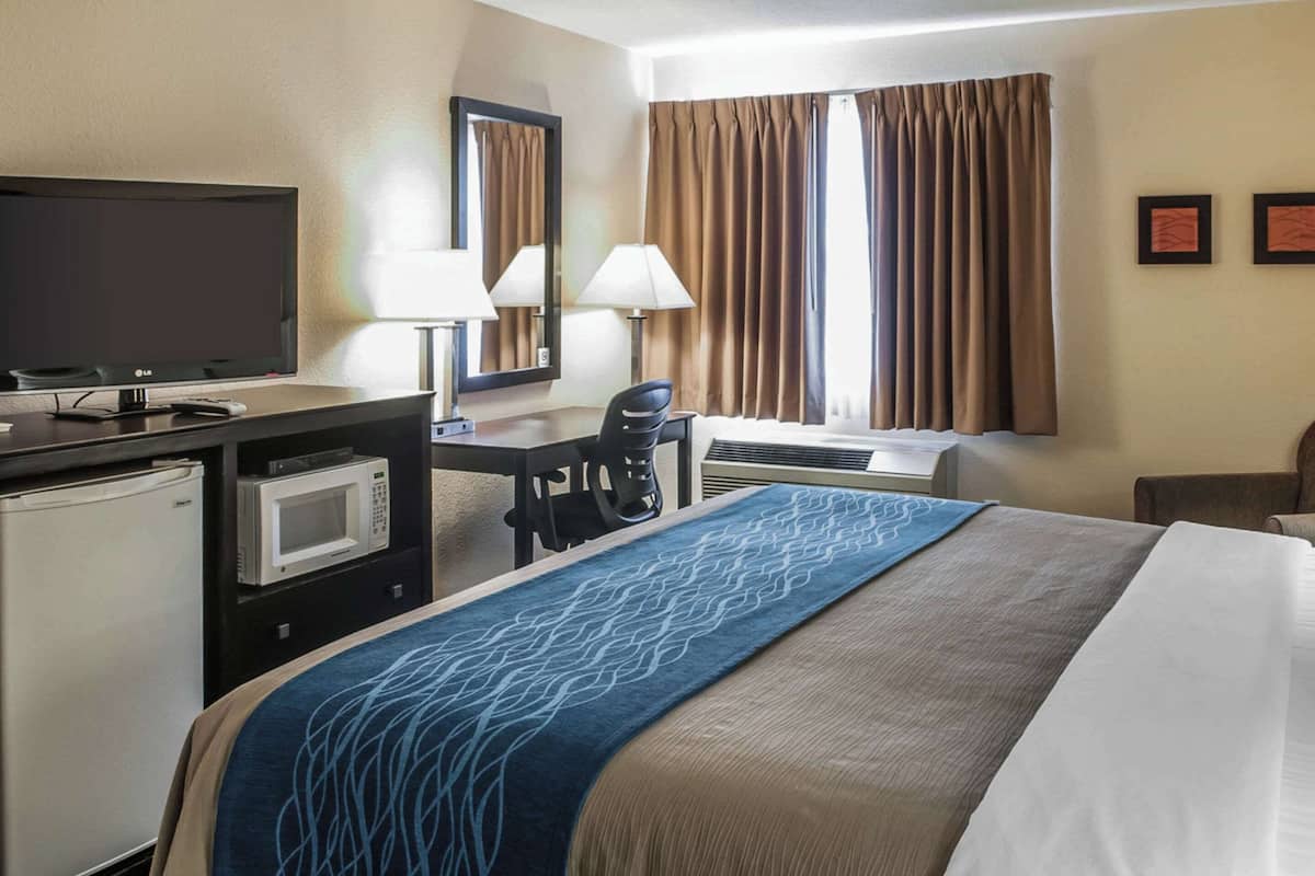 standard room, 1 king bed, non smoking | egyptian cotton sheets, premium bedding, down duvets, pillow-top beds