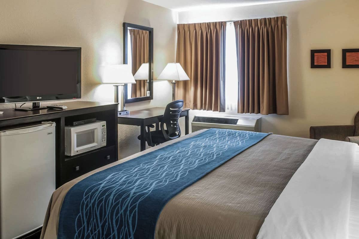 Standard Room, 1 King Bed, Non Smoking | Egyptian cotton sheets, premium bedding, down comforters, pillowtop beds