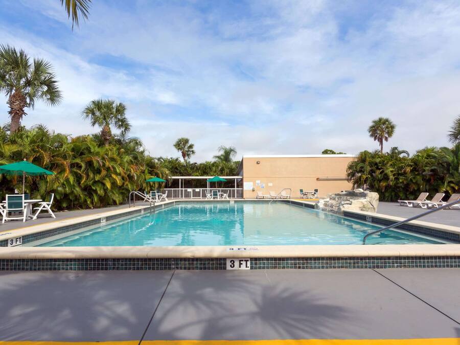 A swimming pool with lounge chairs and umbrellas, surrounded by palm trees and a building in the background.