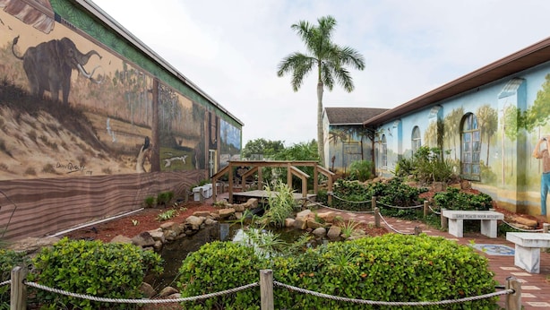 Recinto de zoológico com um mural de elefante, uma ponte de madeira e uma palmeira.