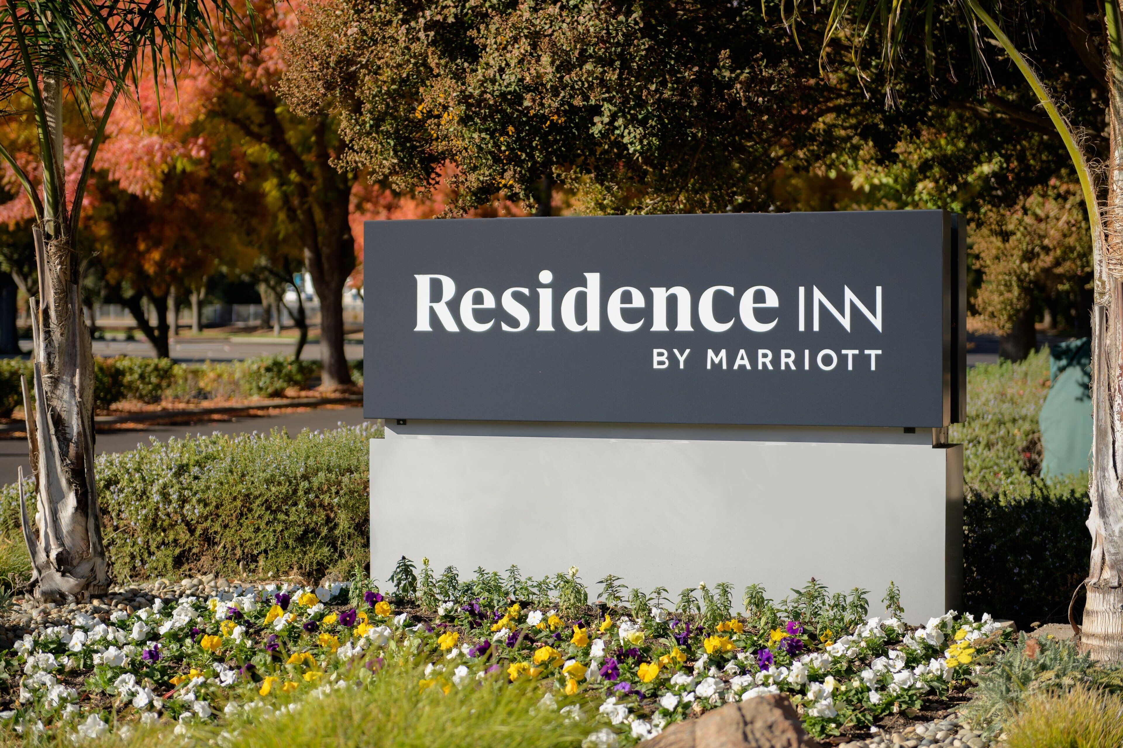 Utsikt fra overnattingsstedet