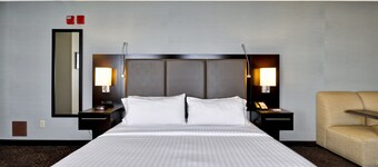 Holiday Inn Express Romulus / Detroit Airport by IHG