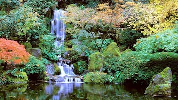 Una cascada se precipita sobre rocas cubiertas de musgo, rodeada de exuberante vegetación.